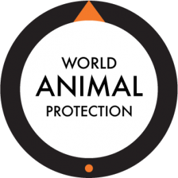 World Animal Protection | Animal Protection Index